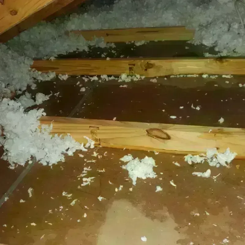 Attic Water Damage in Levittown, NY