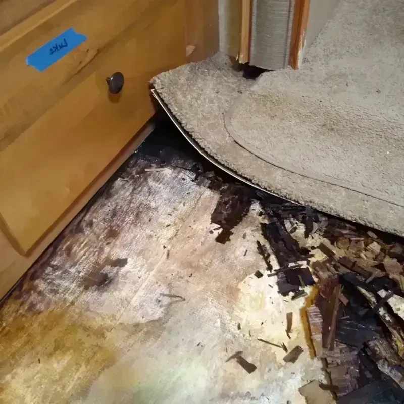 Best Wood Floor Water Damage Service in Levittown, NY